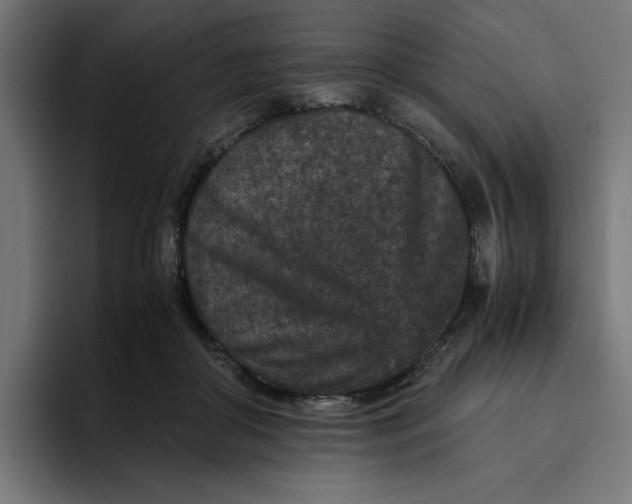 X0000094820410200712071250