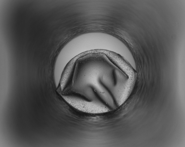 X0000094820411200712071250