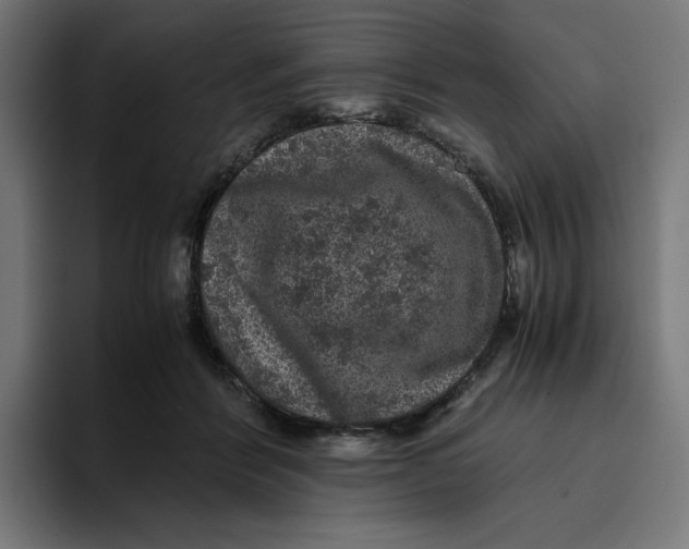 X0000094820412200712071250