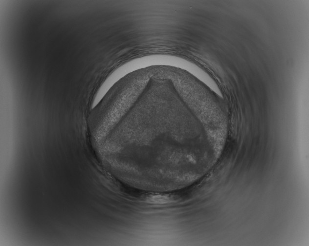 X0000094820413200712071250