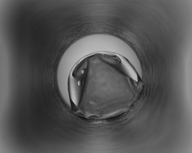 X0000094820415200712071250