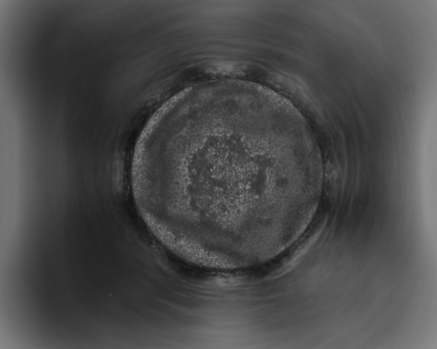 X0000094820416200712071250