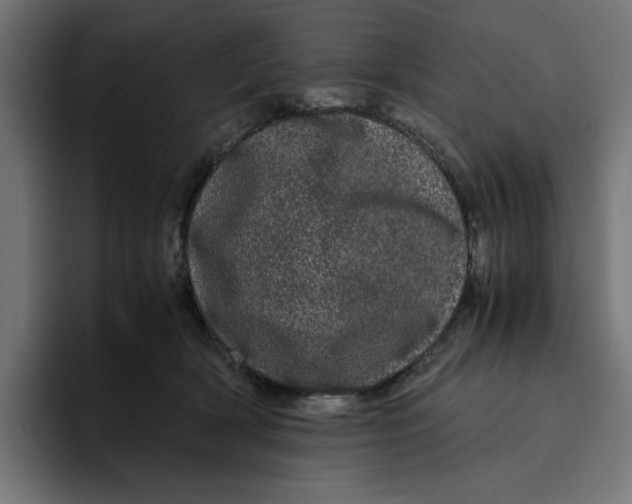 X0000094820418200712071250