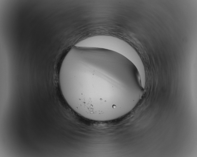 X0000094820419200712071250