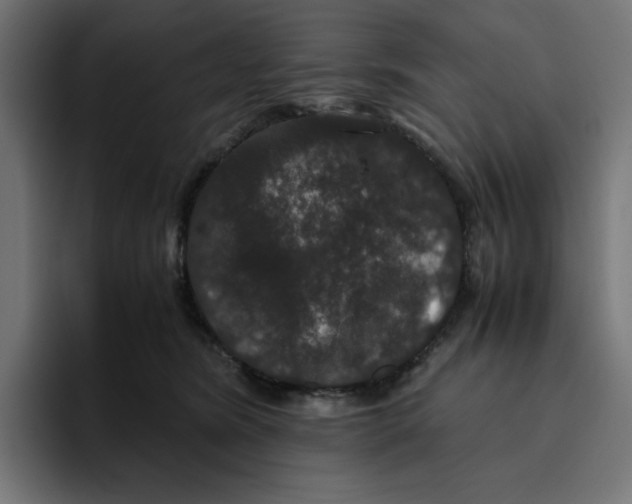 X0000094820420200712071250