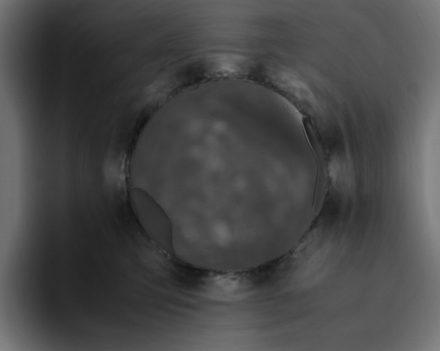 X0000094820423200712071249