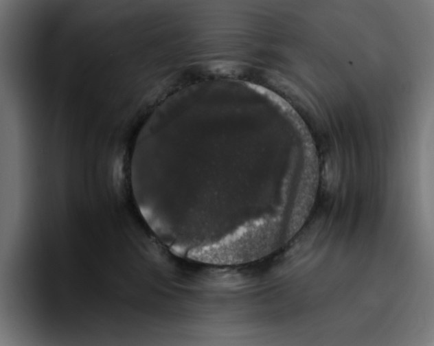 X0000094820424200712071249