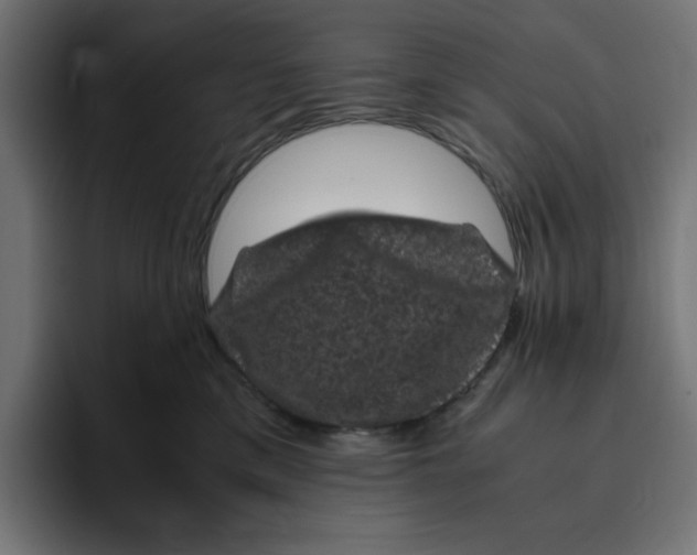 X0000094820425200712071249