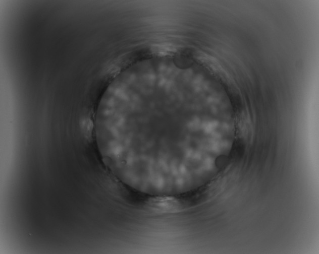 X0000094820427200712071249