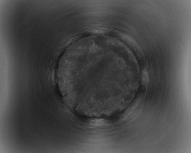 X0000094820428200712071249
