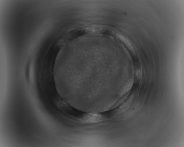 X0000094820429200712071249