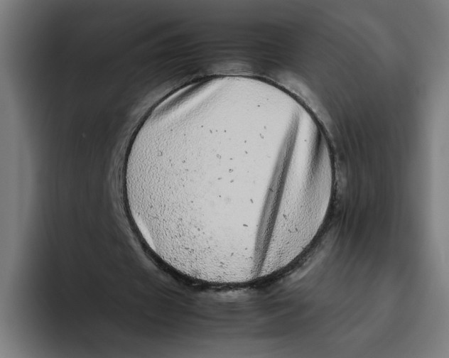 X0000094820433200712071249