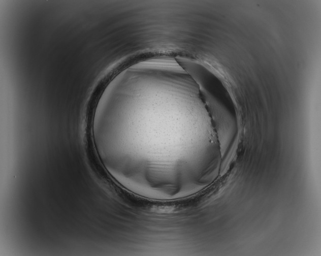 X0000094820440200712071249
