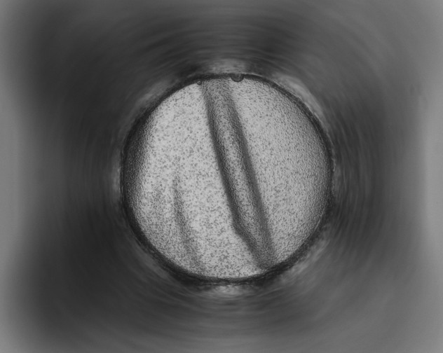 X0000094820441200712071249