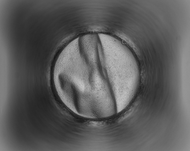 X0000094820442200712071249