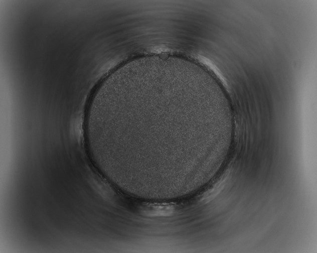 X0000094820443200712071249