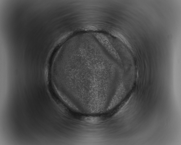 X0000094820444200712071249