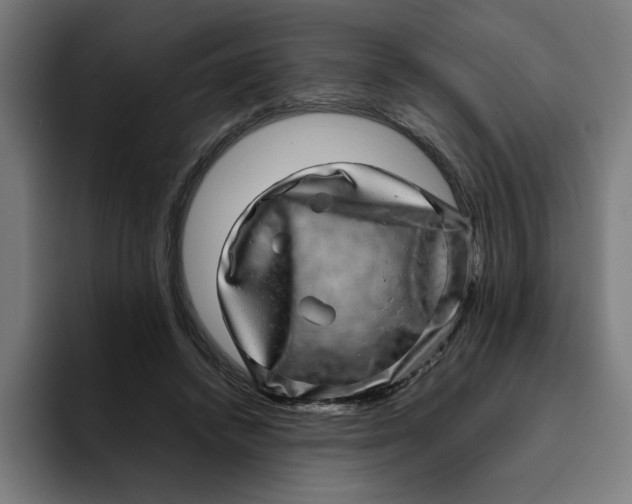 X0000094820448200712071249