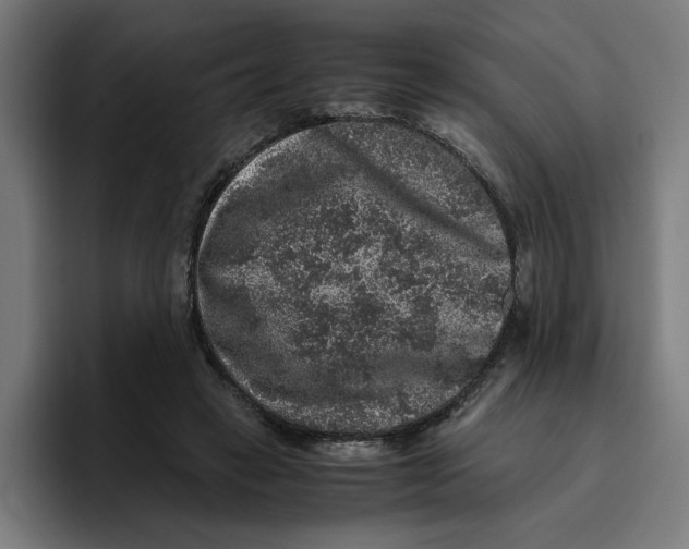 X0000094820449200712071249