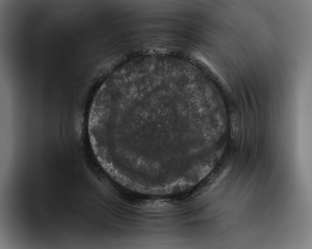 X0000094820451200712071249