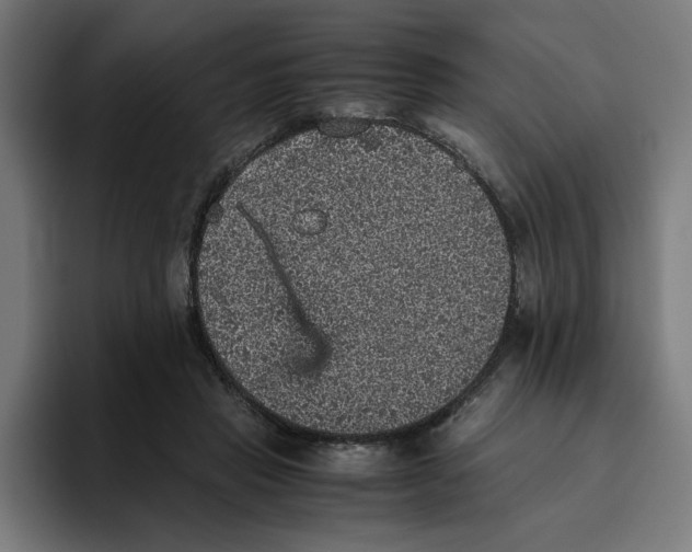 X0000094820453200712071249