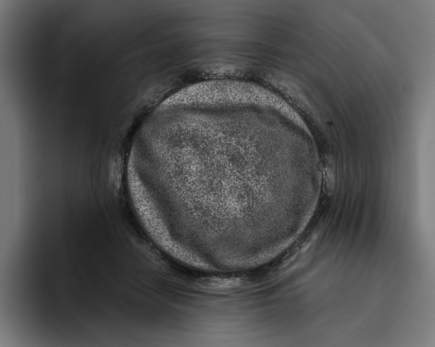 X0000094820458200712071249