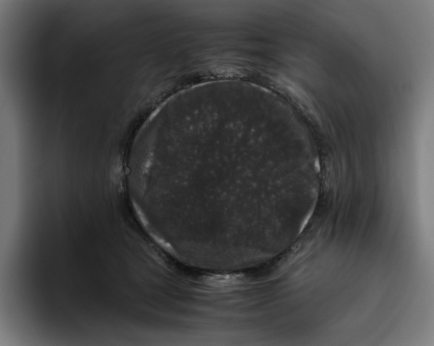 X0000094820465200712071249