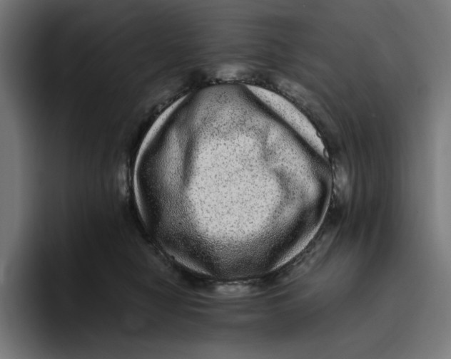 X0000094820470200712071249