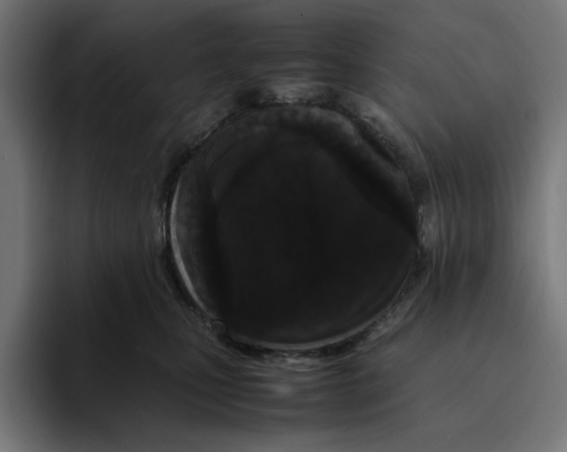 X0000094820471200712071249