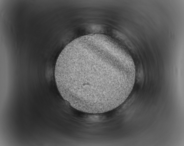 X0000094820473200712071249