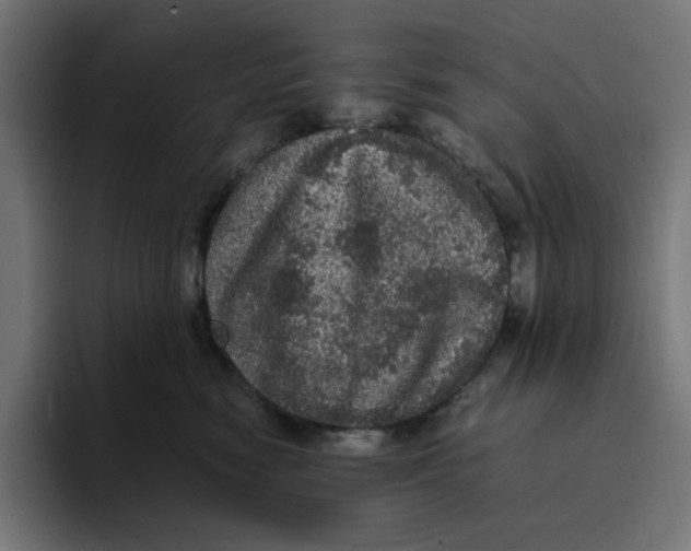 X0000094820474200712071249