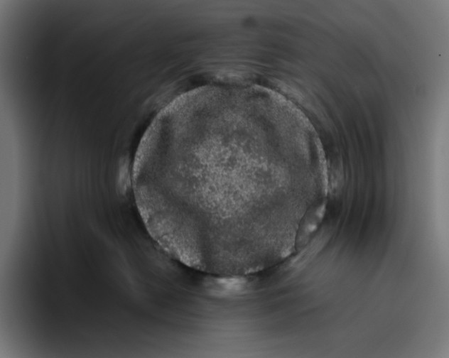 X0000094820478200712071249