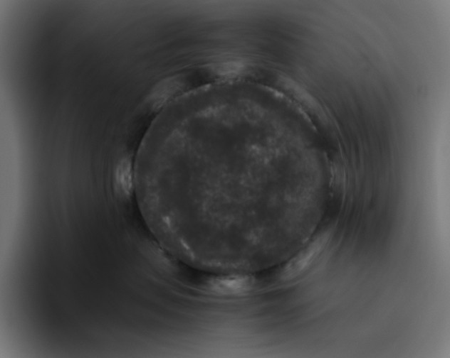 X0000094820479200712071249