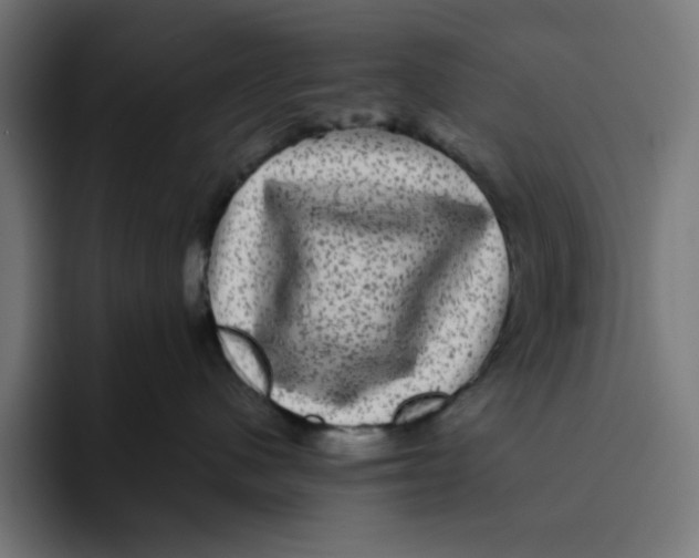 X0000094820480200712071249