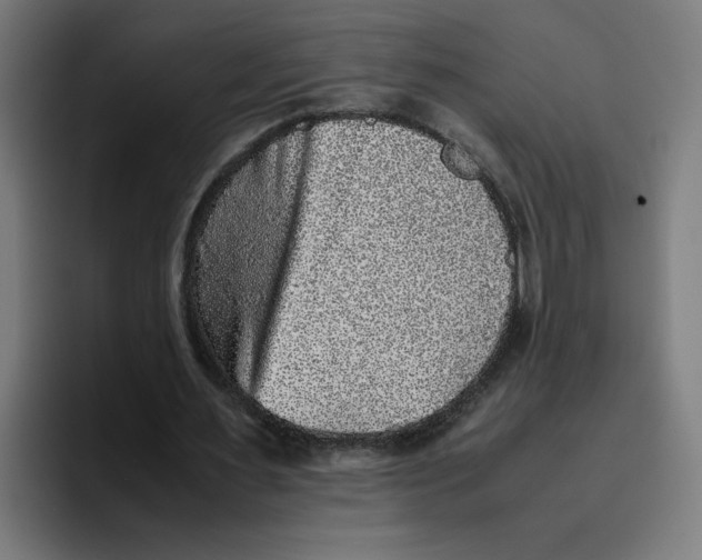 X0000094820483200712071249