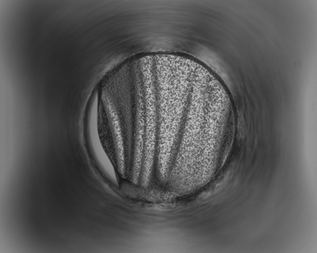 X0000094820485200712071249