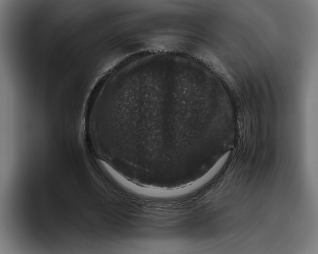 X0000094820488200712071249