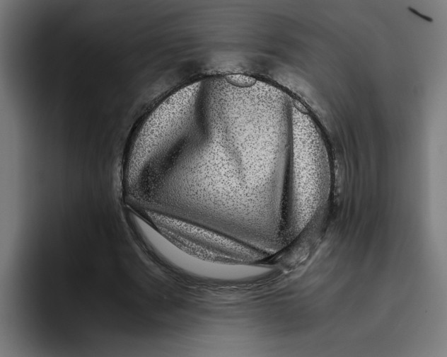 X0000094820489200712071249