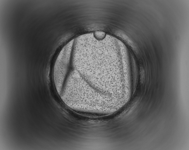 X0000094820490200712071249
