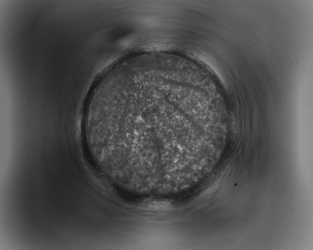 X0000094820491200712071249