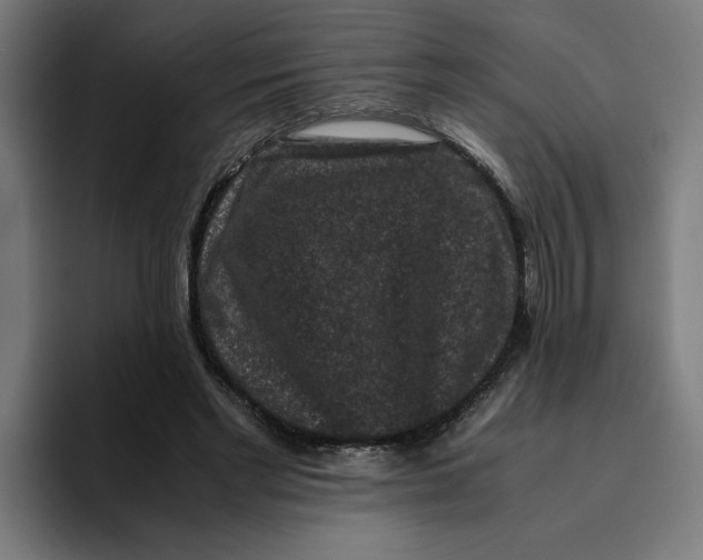 X0000094820493200712071249