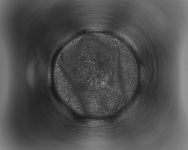 X0000094820494200712071249