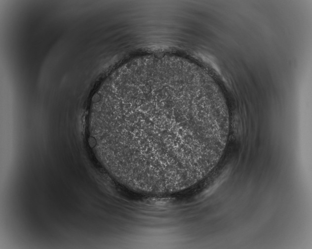 X0000094820495200712071249