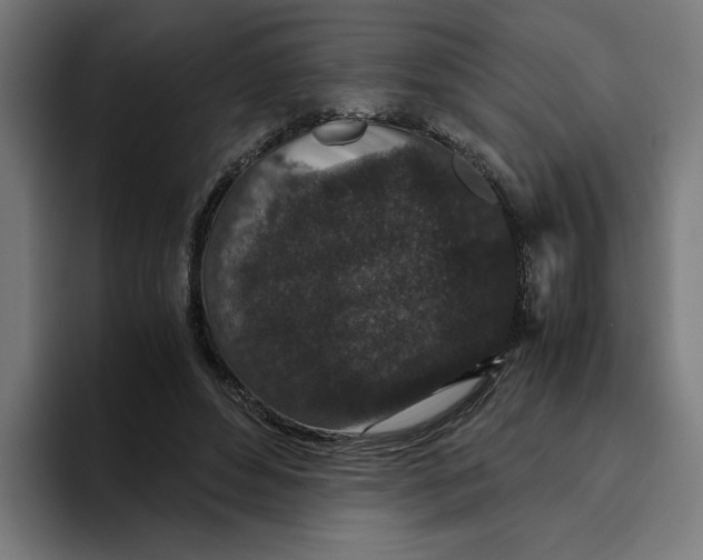 X0000094820496200712071249