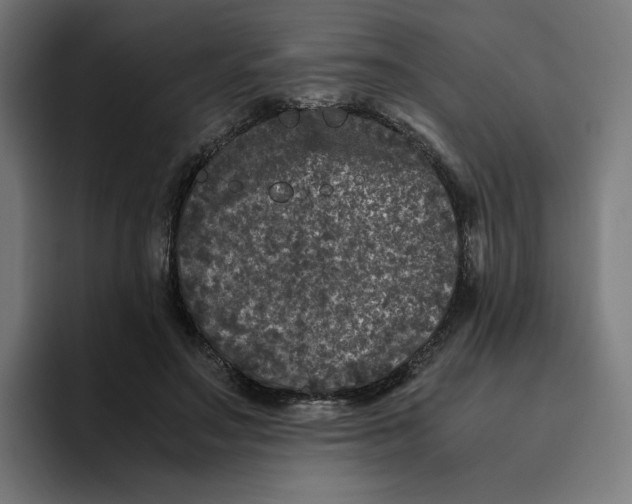 X0000094820499200712071248