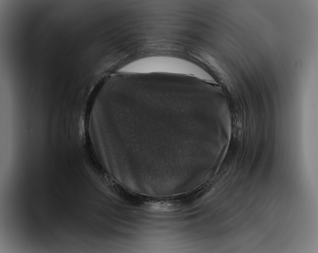 X0000094820500200712071248