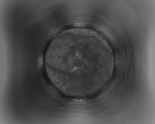 X0000094820502200712071248