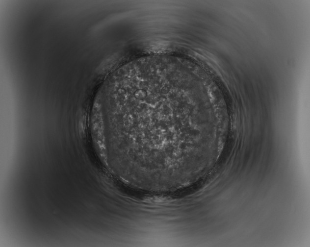 X0000094820503200712071248