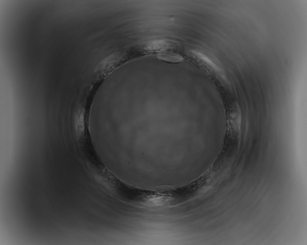 X0000094820504200712071248