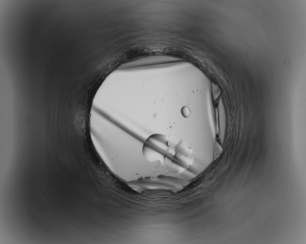 X0000094820505200712071248